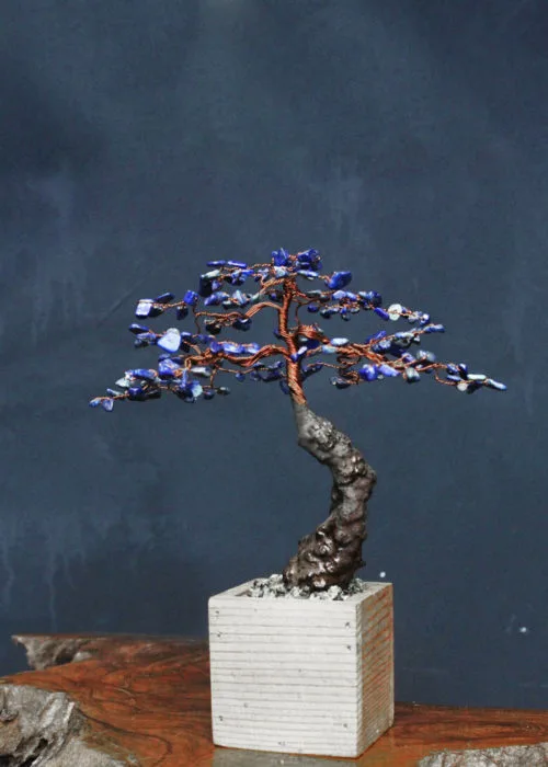 Cây Bonsai Đá Thiên Thanh MBS-B008