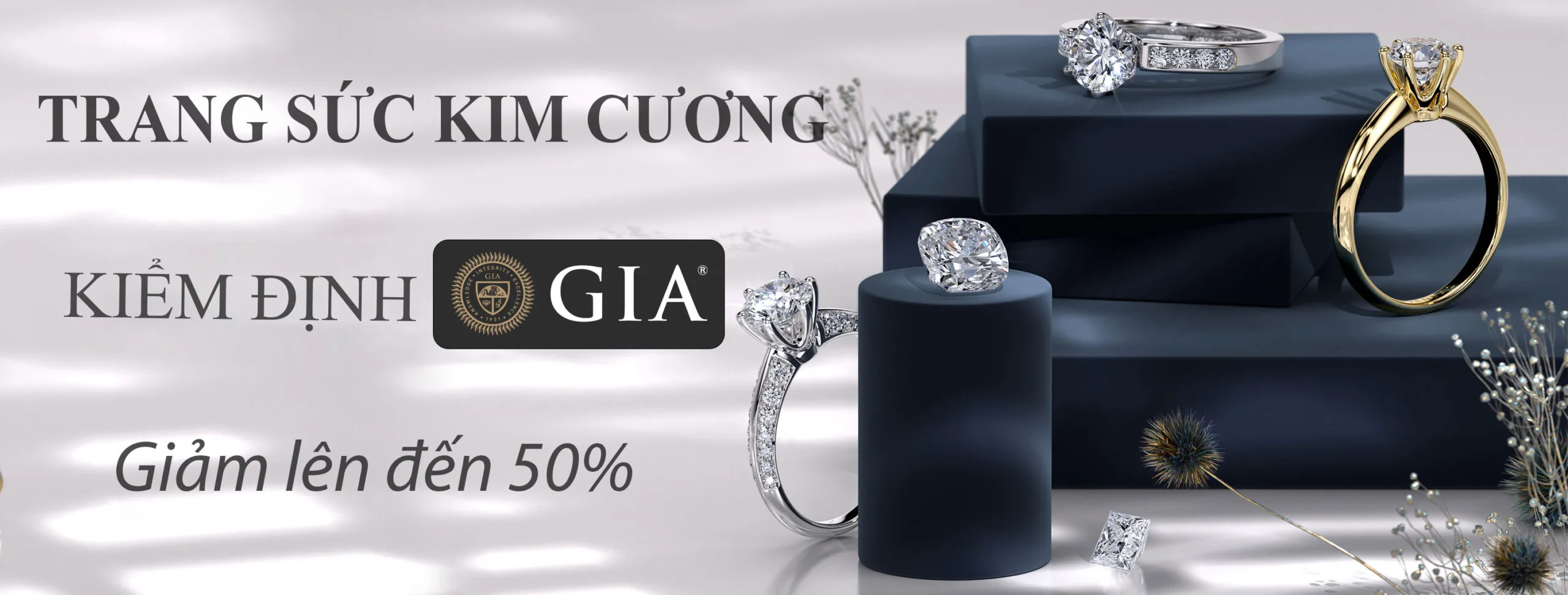 Baner Đầu Trang