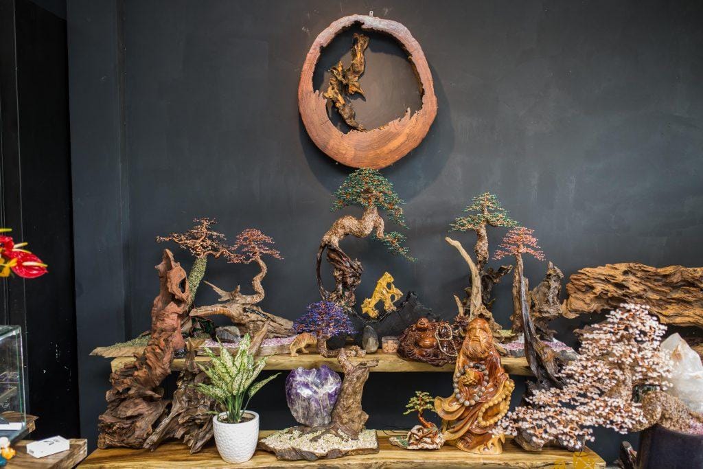 Những Điều Thú Vị Xung Quanh Nghệ Thuật Cây Bonsai Đẹp Tự Nhiên