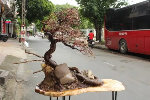 Bonsai Bạt Phong Đá Peridot Đa Sắc Và Đá Quý Ruby CBS-B003