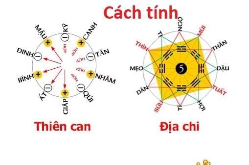Cách Tính Thiên Can, địa Chi Và Ngũ Hành đơn Giản