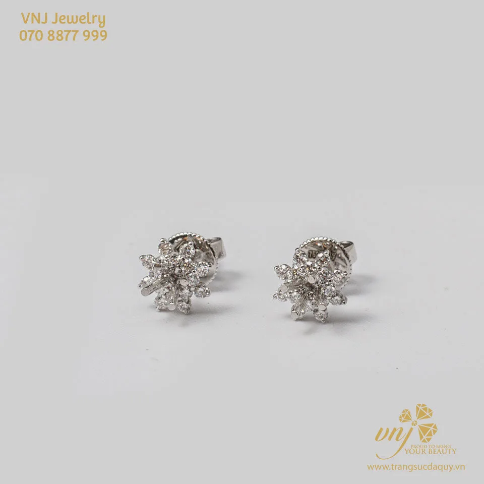 Bông Tai Kim Cương