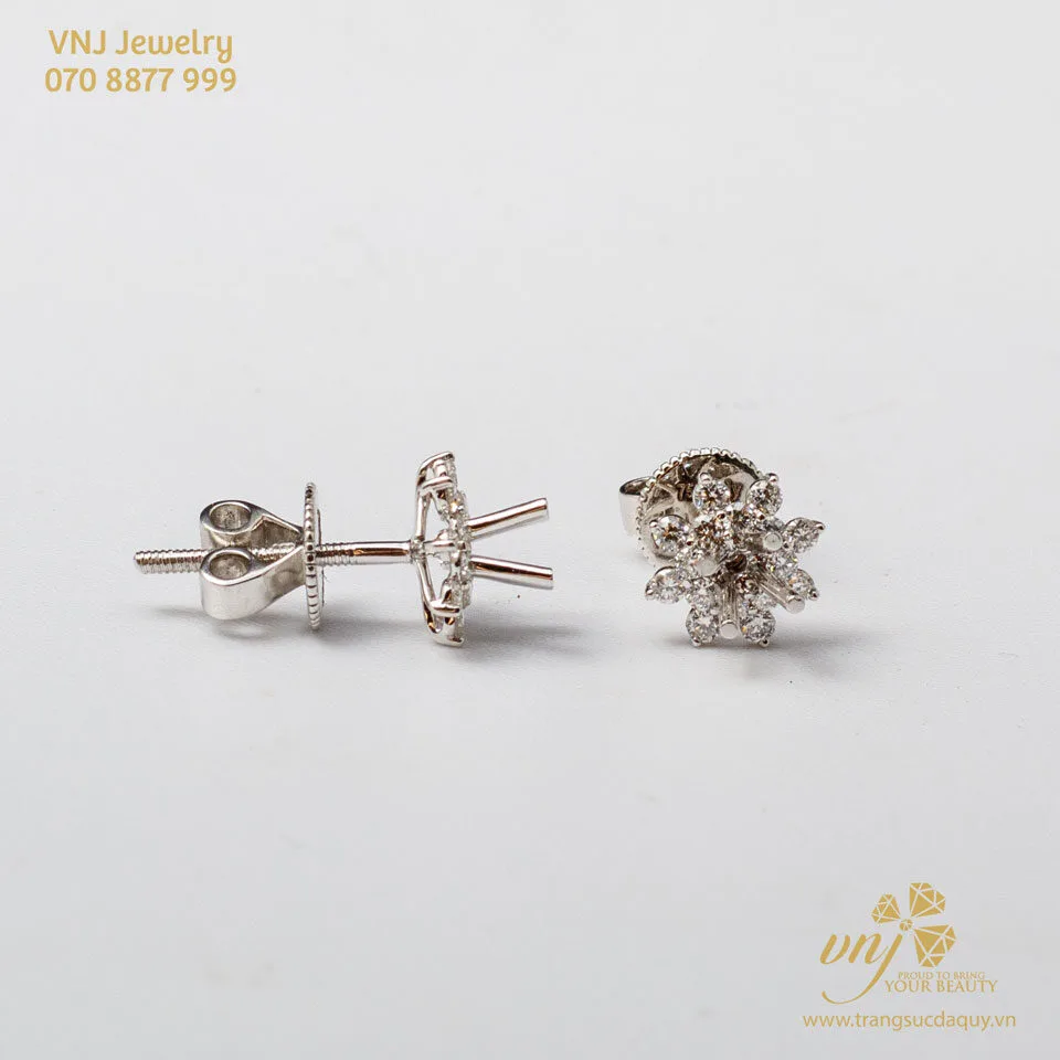 Bông Tai Kim Cương