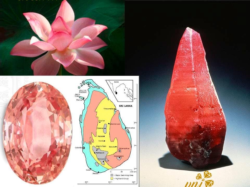 Padparadscha Sapphires