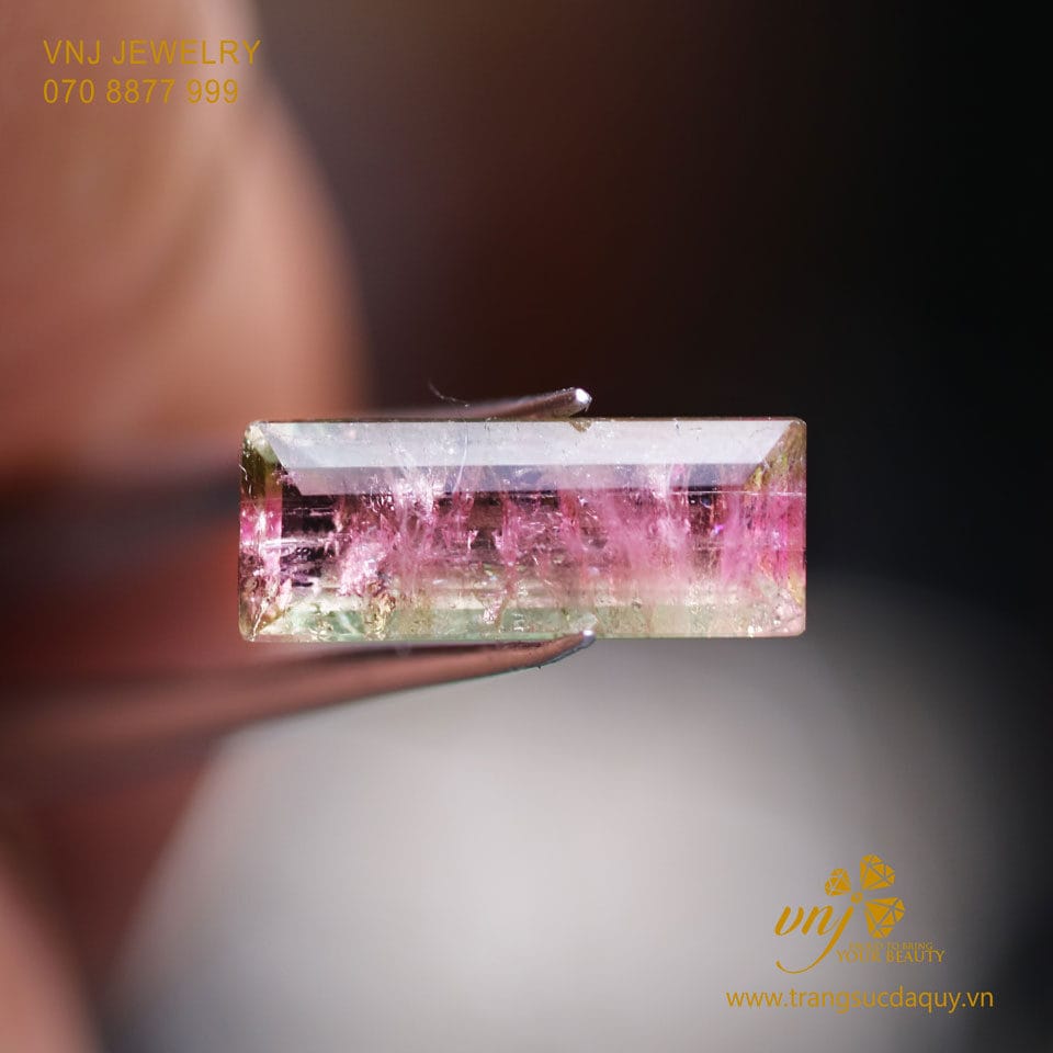 Tourmaline Bi Color (2)