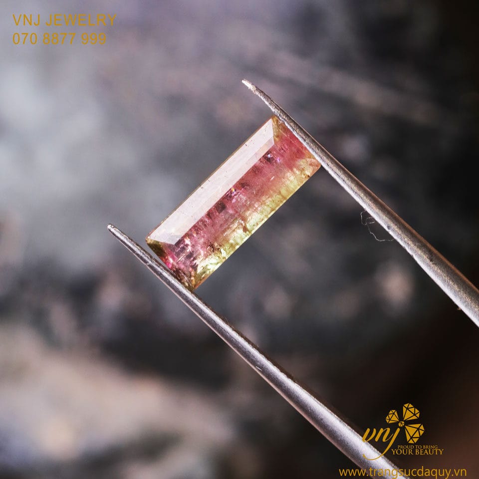 Tourmaline Bi Color (3)