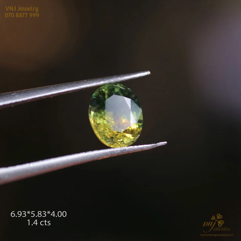 Bi Color Sapphire Mài Giác 6.935.834.00