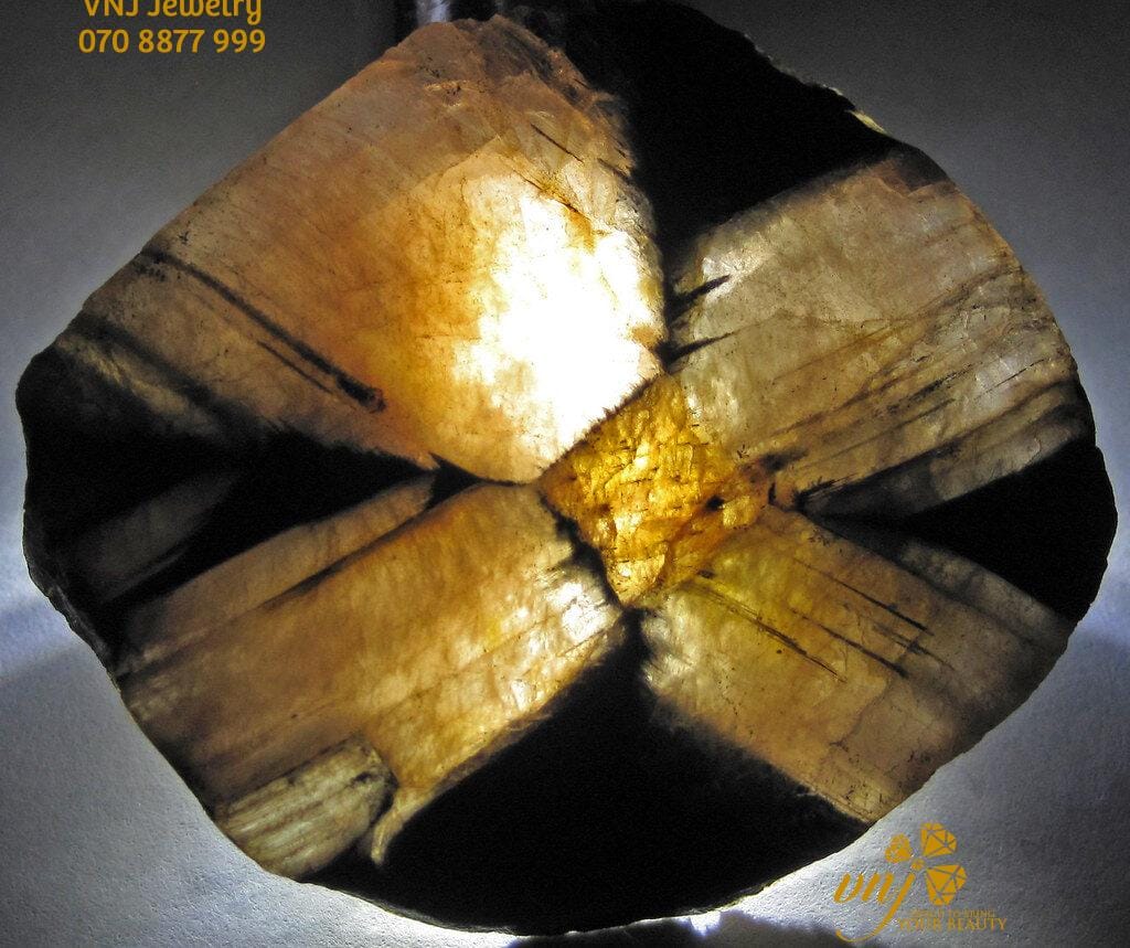 47363027112 1aa052e506 B