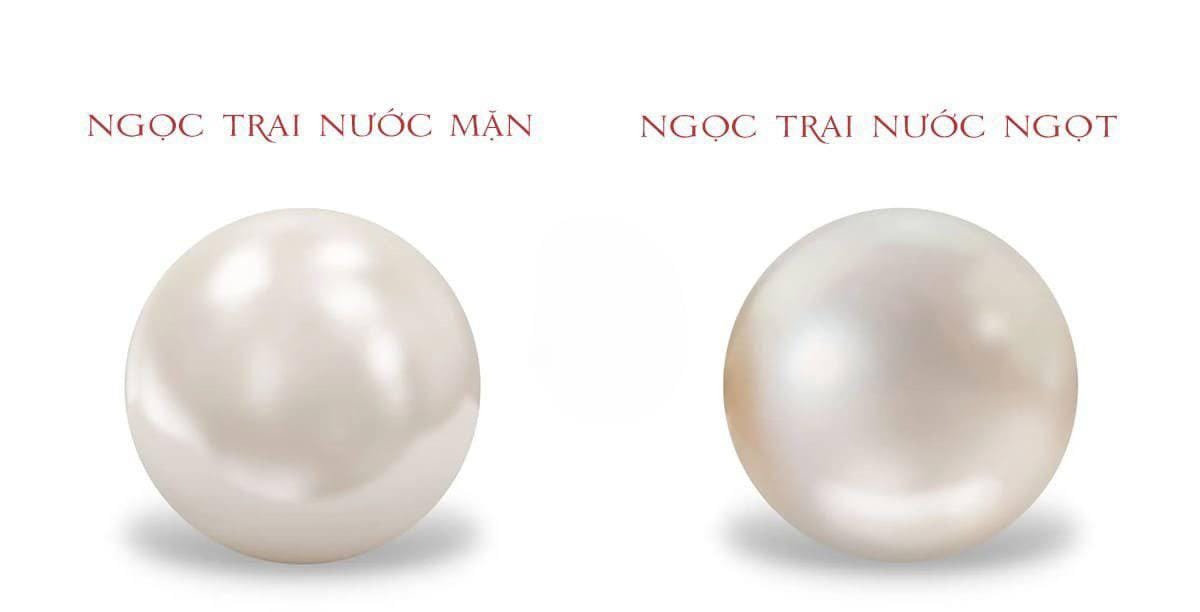 Sự Khác Biệt Giữa Ngọc Trai Nước Ngọt Và Ngọc Trai Akoya Là Gì ?