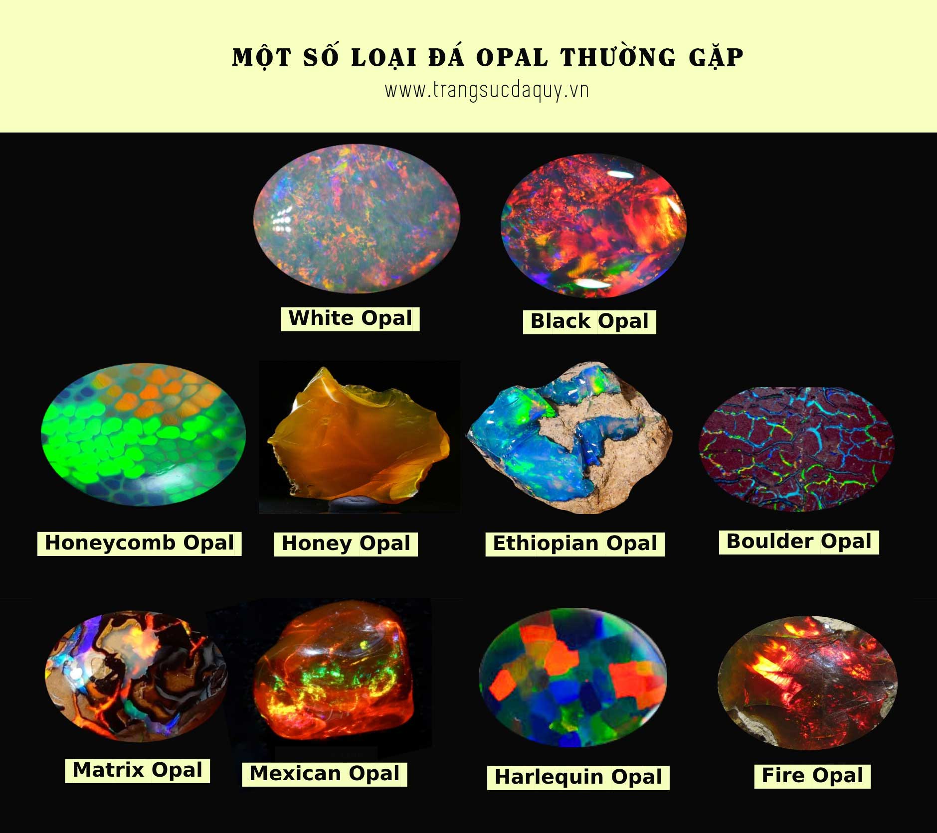 Đá Opal 7 Điều Thú Vị Bạn Bạn Chưa Biết