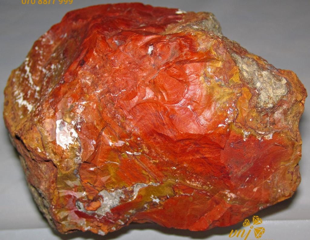 Jasper 5 Điều Bạn Đã Biết ?