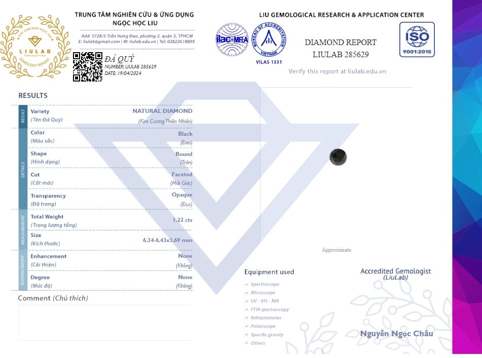Kim Cương Đen Thiên Nhiên Black Diamond Dqd1