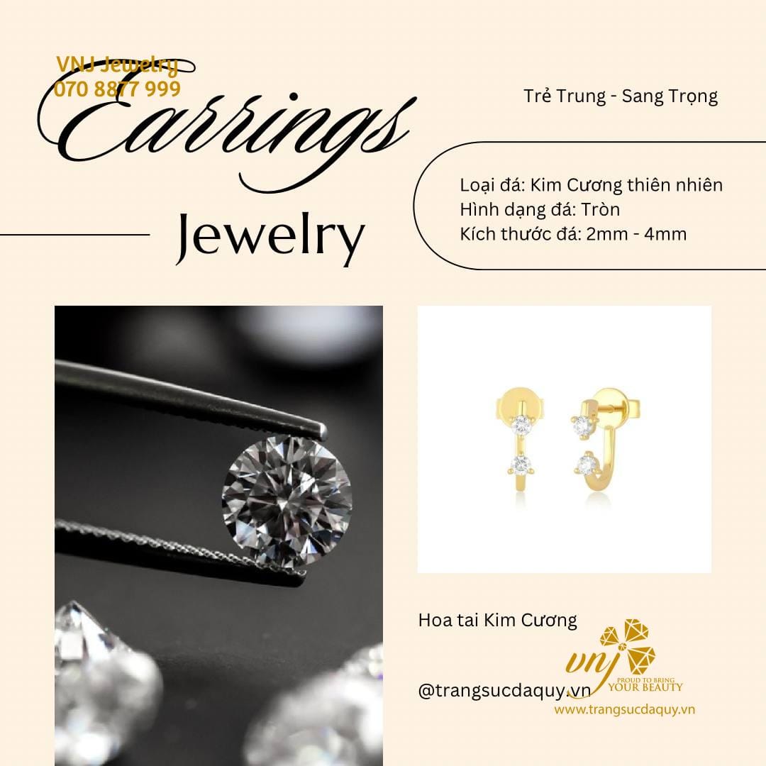 Bông Tai Kim Cương Khoá Lưỡi Gà Btkc20 (9)