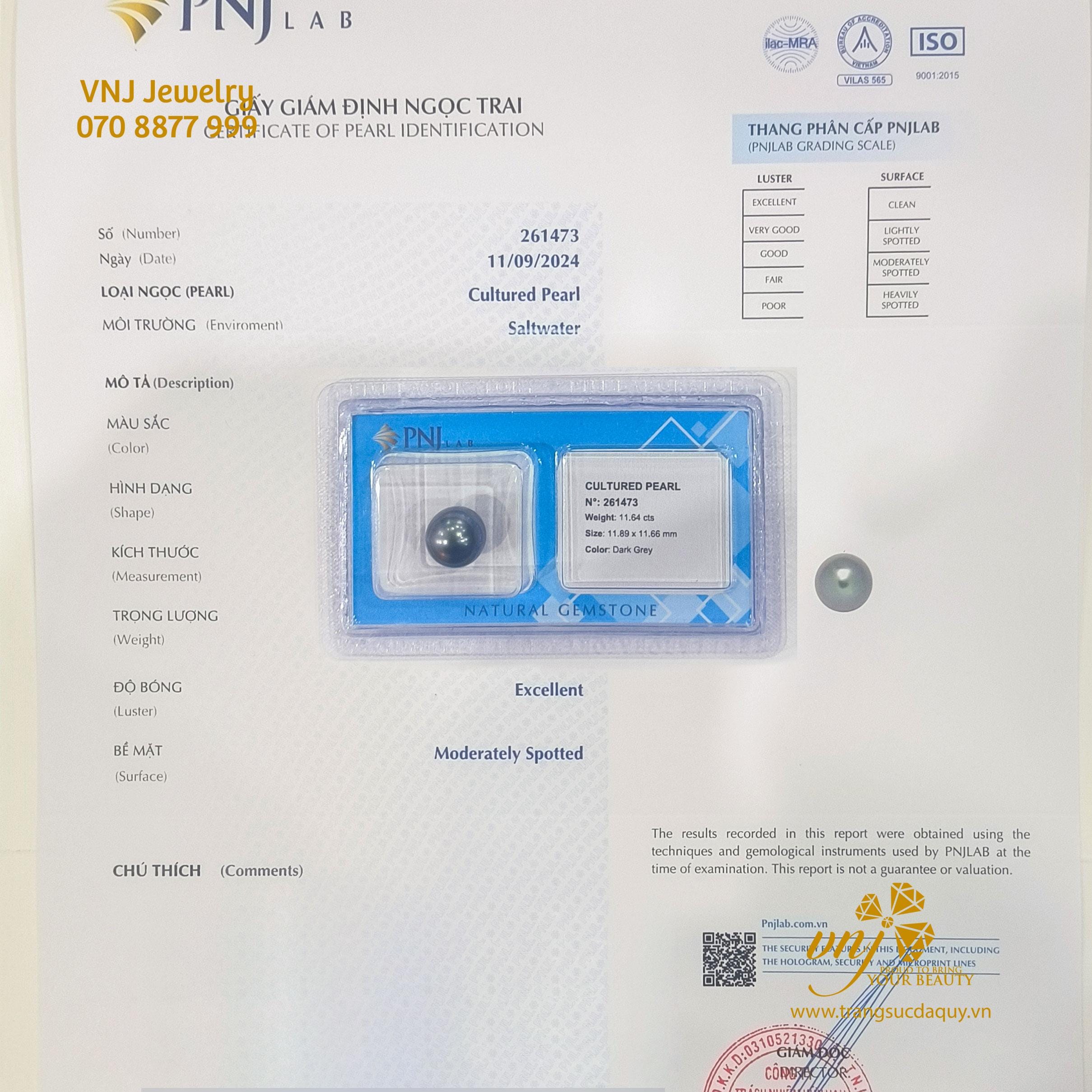 Ngọc Trai Đen Thiên Nhiên Haiti (3)