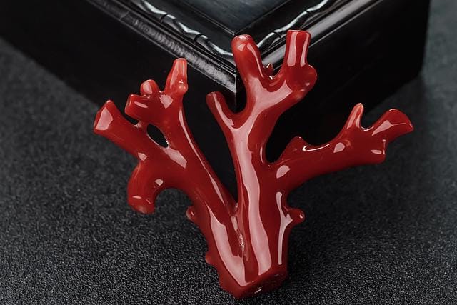 Đá Coral (san Hô Đỏ): Báu Vật Thiên Nhiên Độc Đáo Và Quý Hiếm