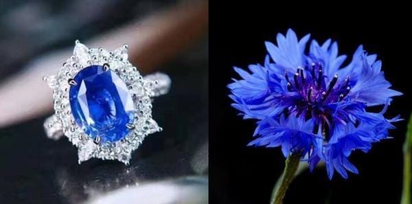 Sapphire Kashmir Viên Ngọc Quý Hiếm Từ Đến Từ Ấn Độ