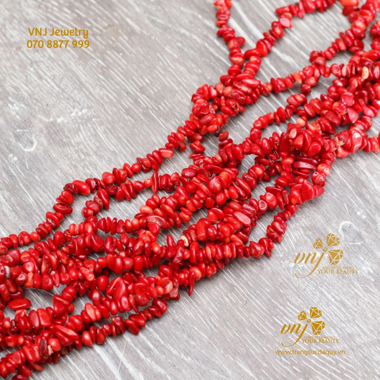 San Hô Đỏ (Đá Coral) Báu Vật Thiên Nhiên Quý Hiếm