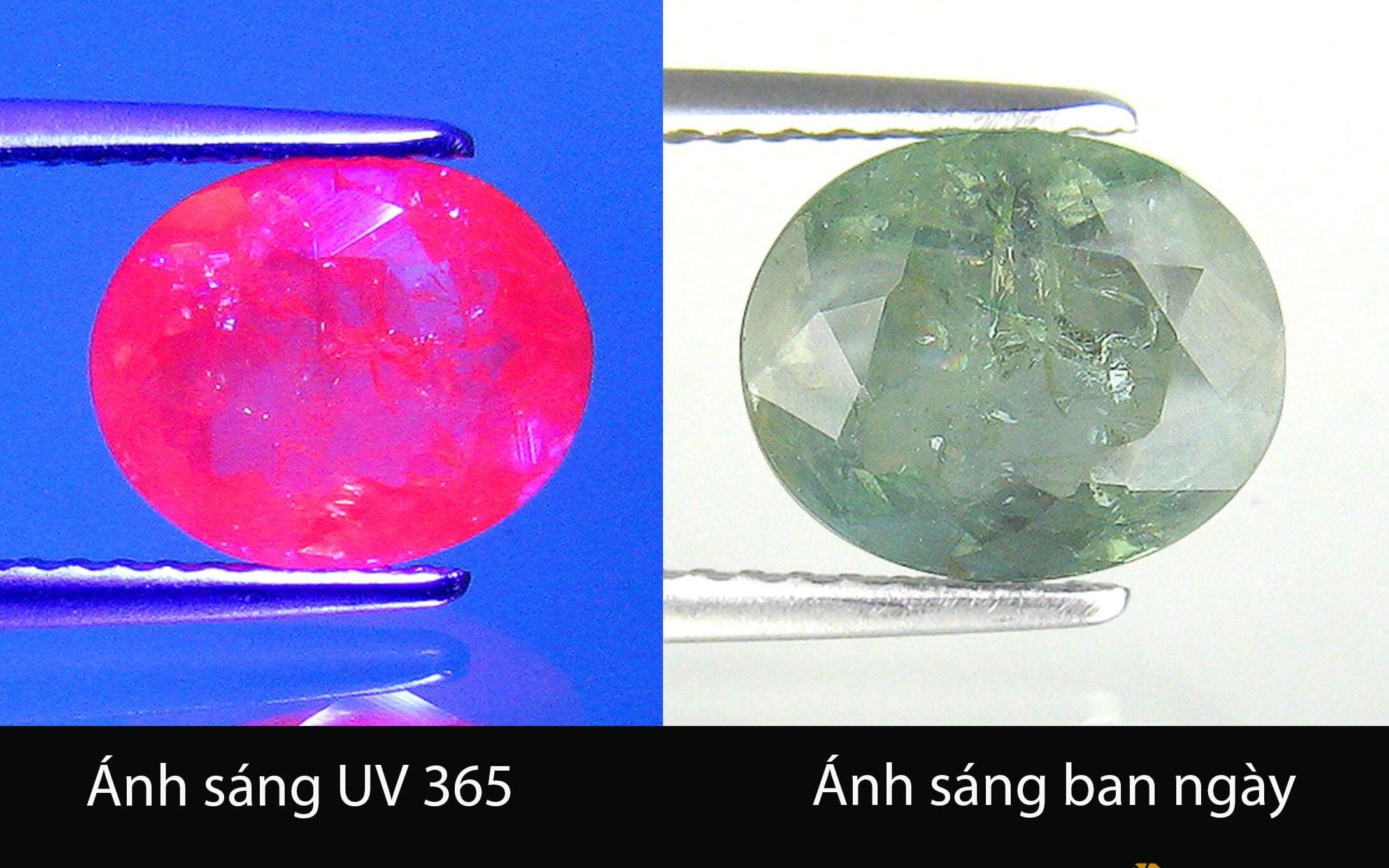 Đá Alexandrite Kiểm Tra đổi Màu Dưới đèn Led
