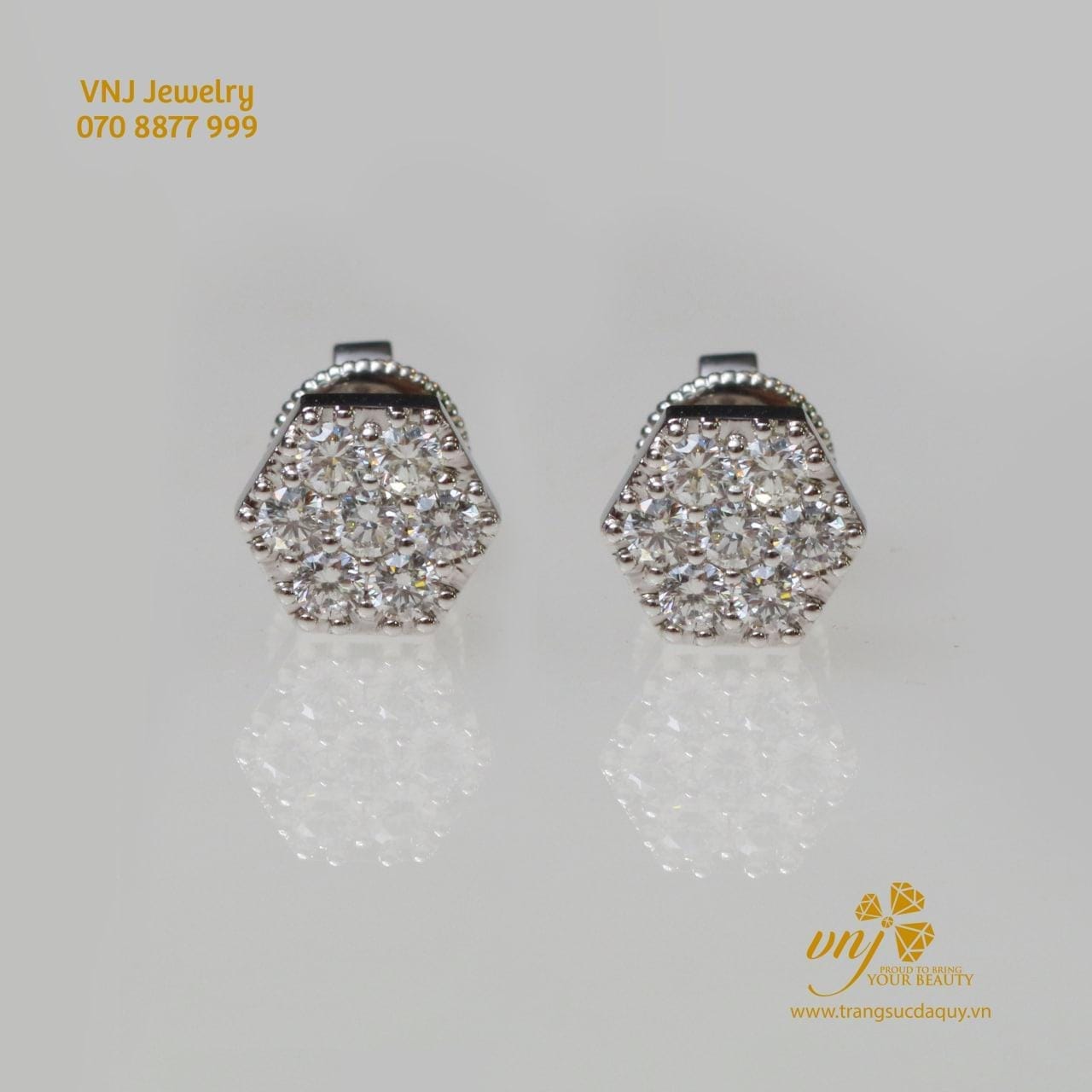 Bông Tai Moissanite Btms14 (5)