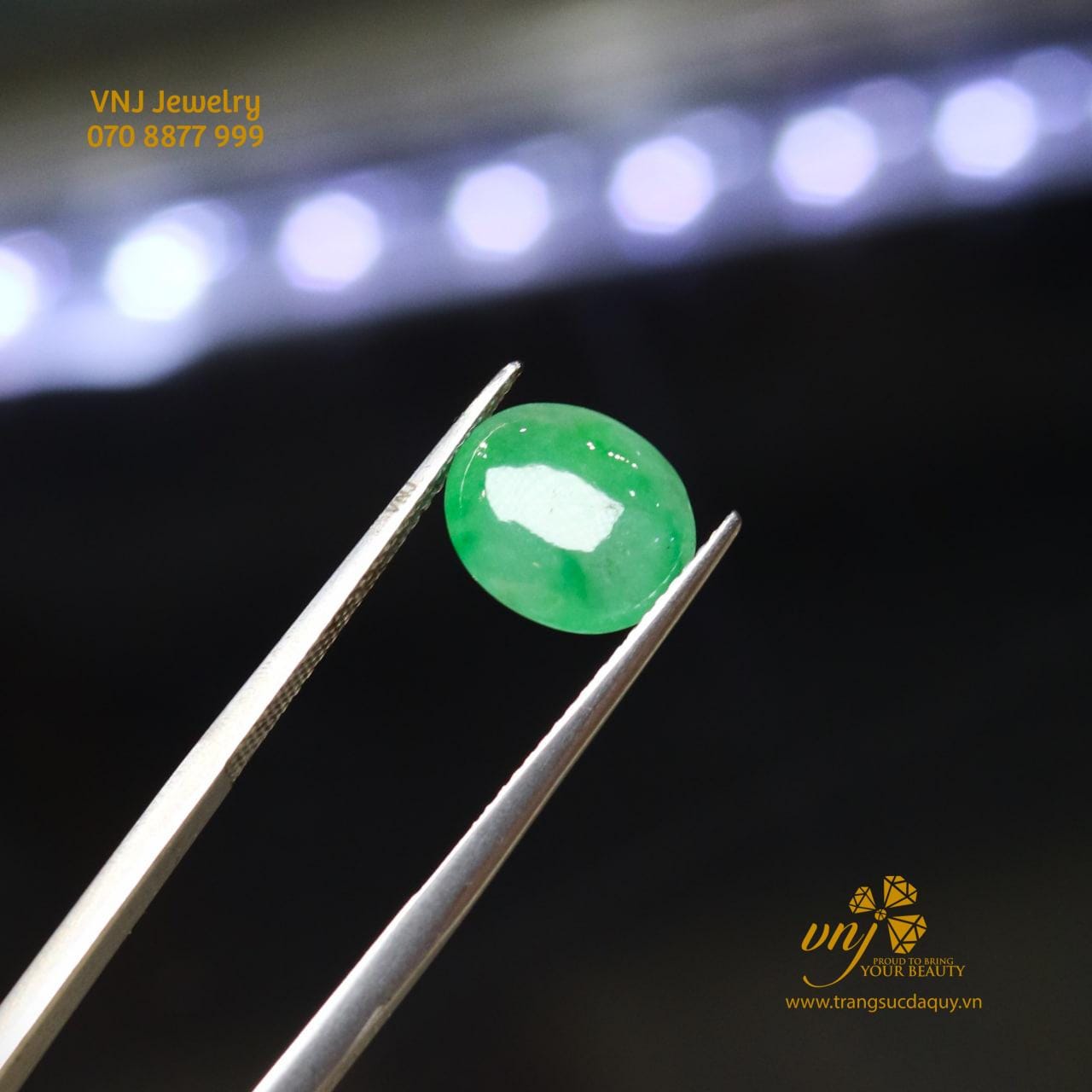 Táo Quả Lục Phỉ Thúy Dqj10 (2)