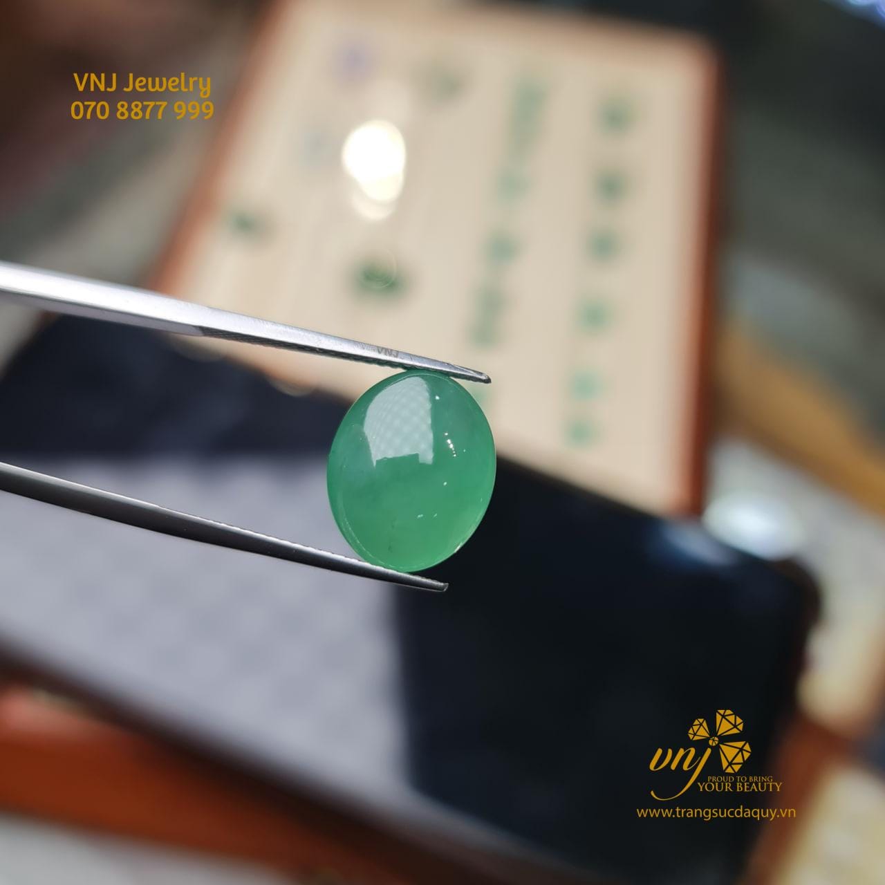 Táo Quả Lục Phỉ Thúy Dqj7 (2)