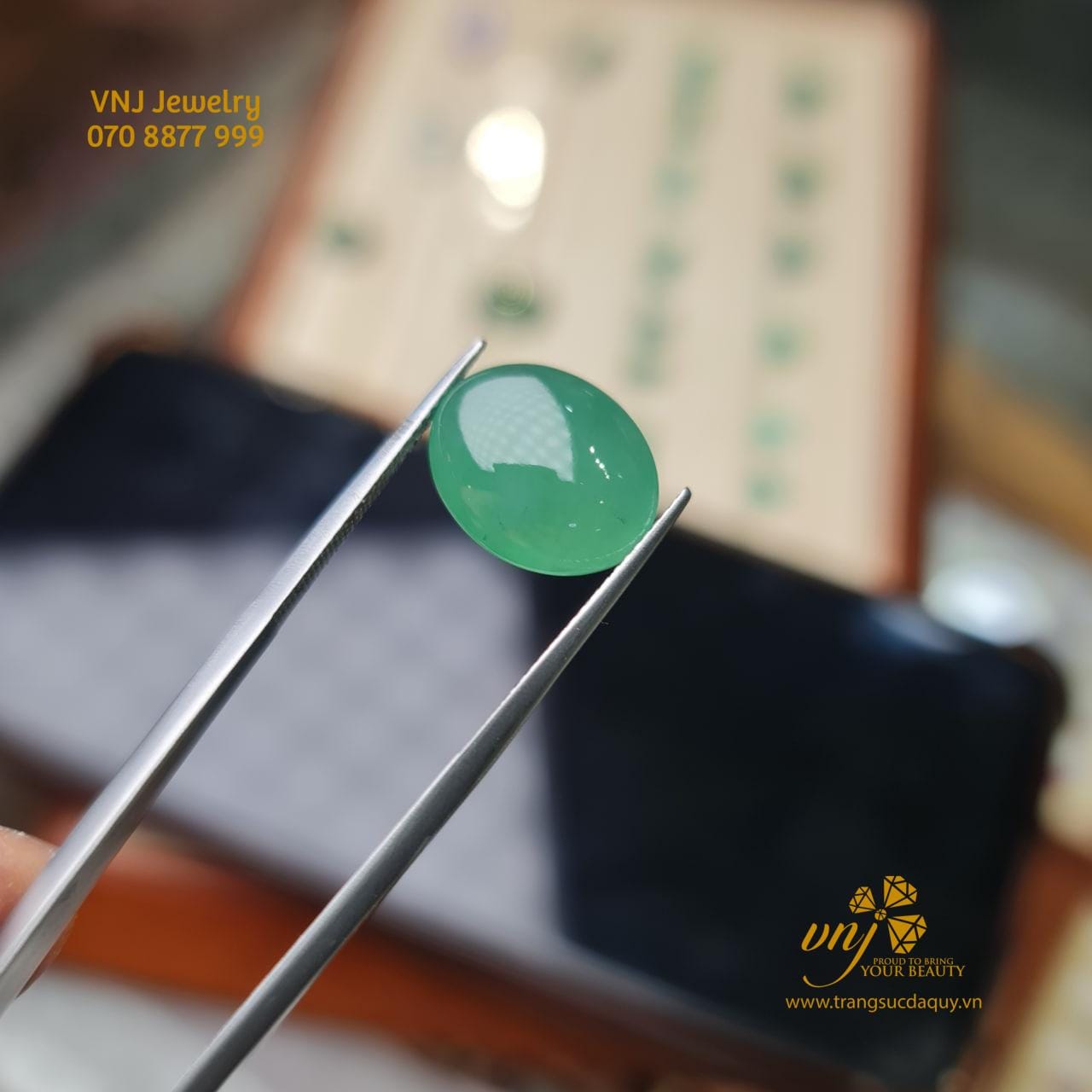 Táo Quả Lục Phỉ Thúy Dqj7 (3)