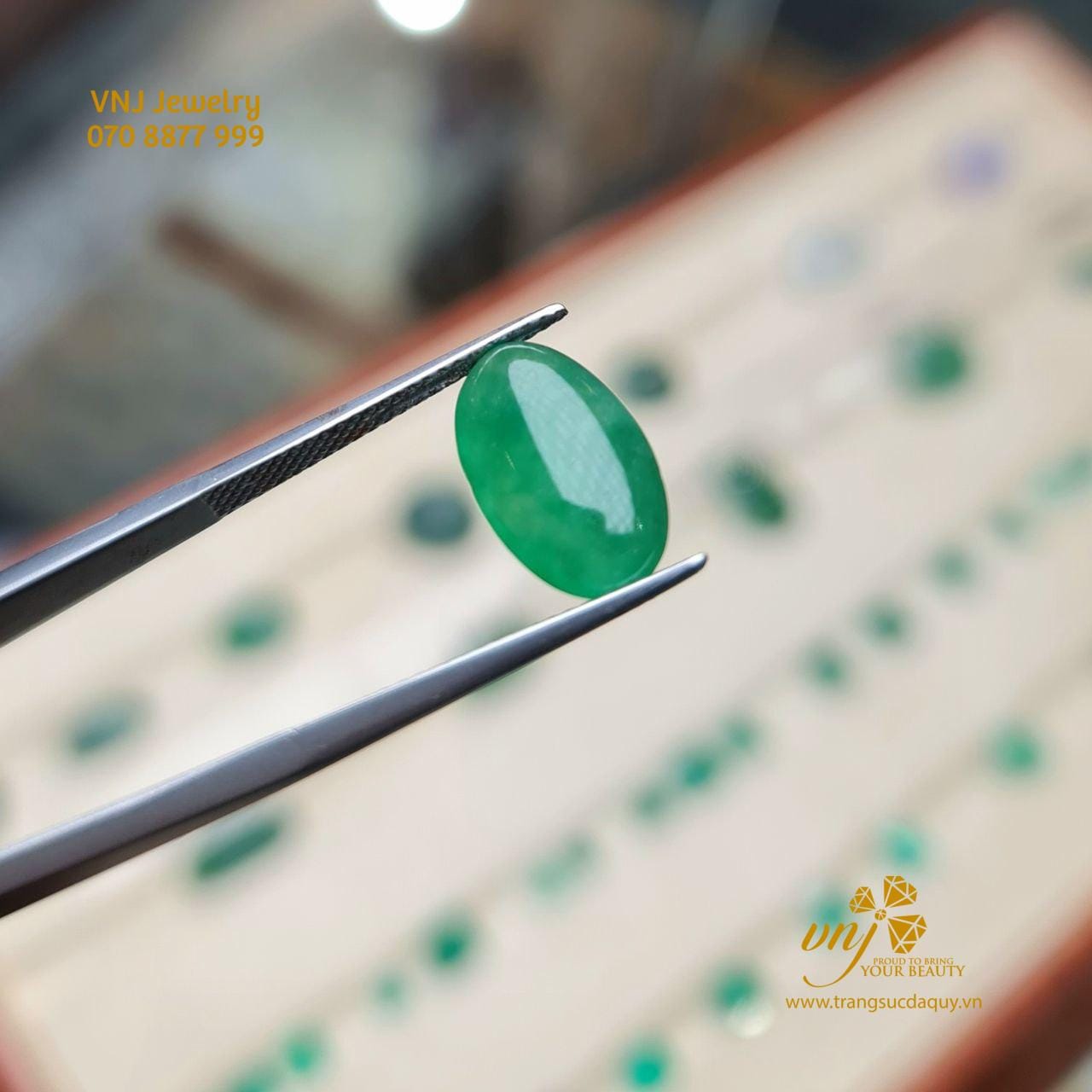 Táo Quả Ngọc Phỉ Thuý