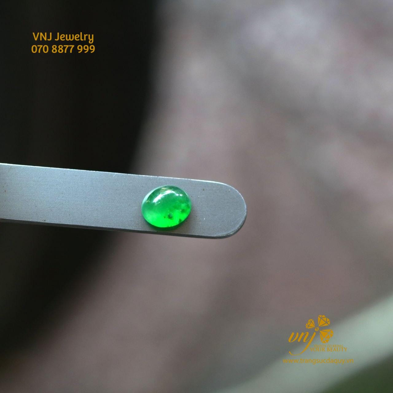 VNJ Trang Sức Việt